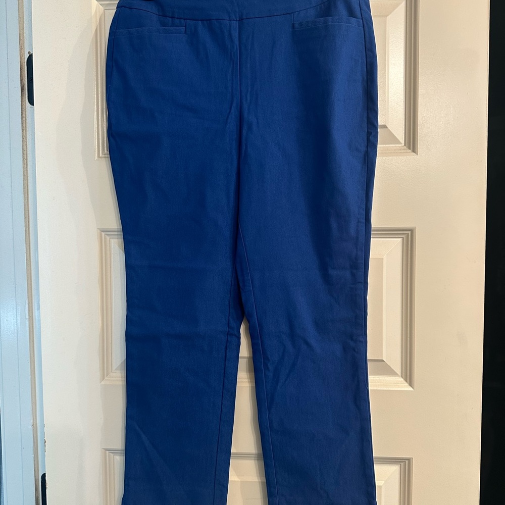 NWT Chico’s Blue Straight-Leg Pants- 2 (US)